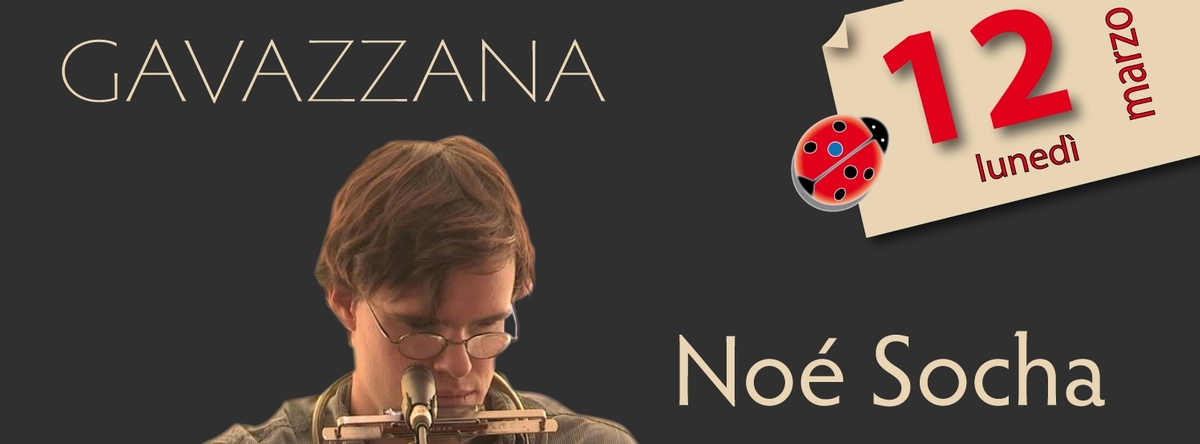 Noé Socha